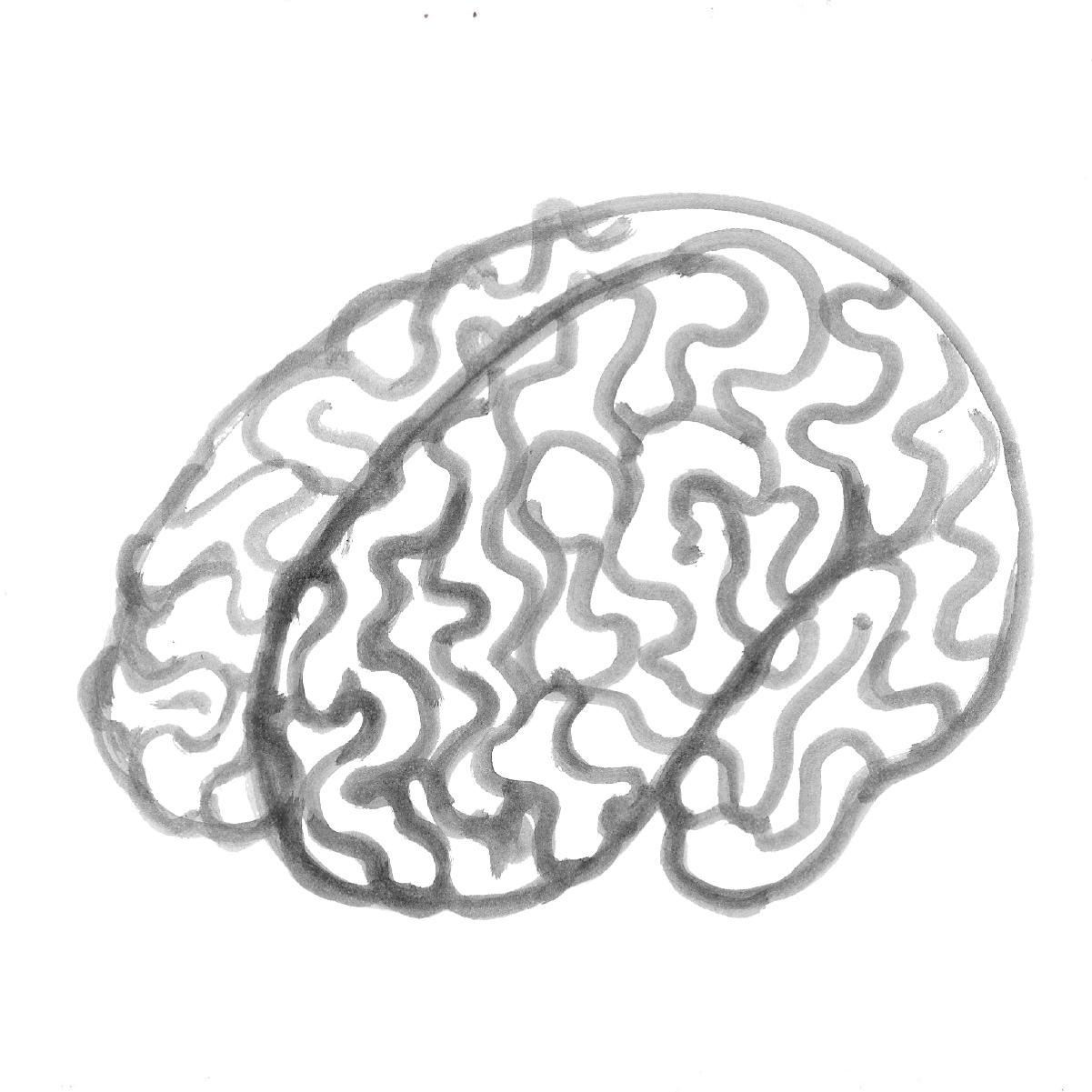 Brain illustration